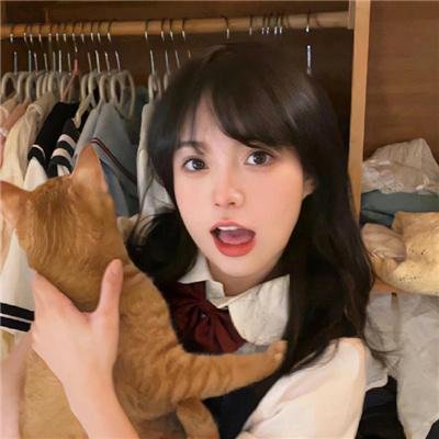 挎斗摩托车里的狗